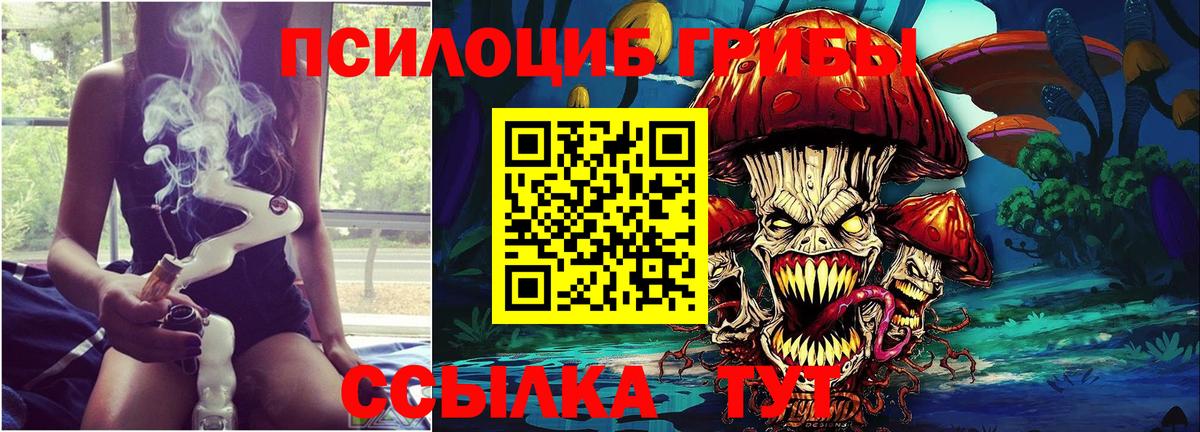 Псилоцибиновые грибы ЛСД Королёв