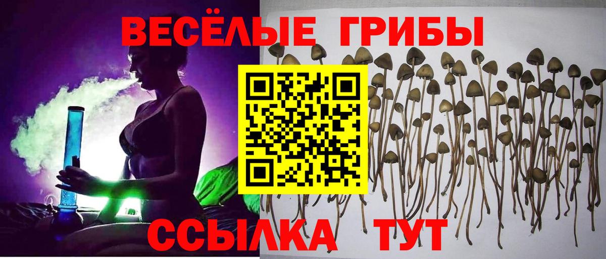 Псилоцибиновые грибы мицелий  Вход с VPN  Королёв 