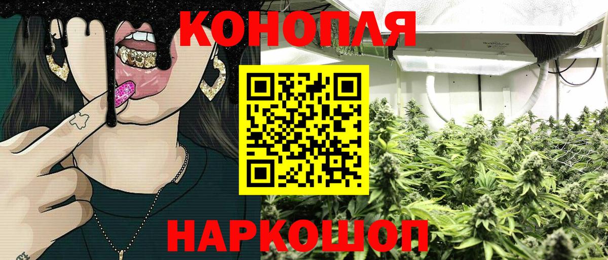 Конопля SATIVA & INDICA  Бошки марихуана тримм  Вход с VPN  Королёв  Бошки марихуана Amnesia  Бошки марихуана MAZAR 